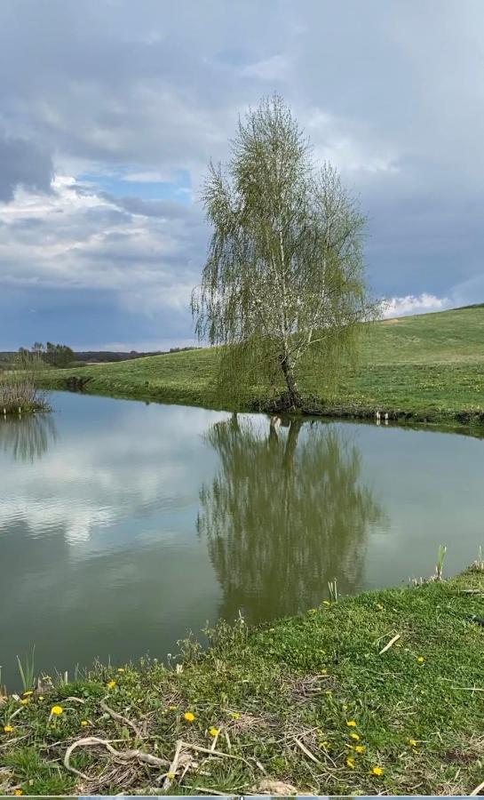 Agroturystyka Nad Jeziorem Silickim Ilinscy Silice Esterno foto
