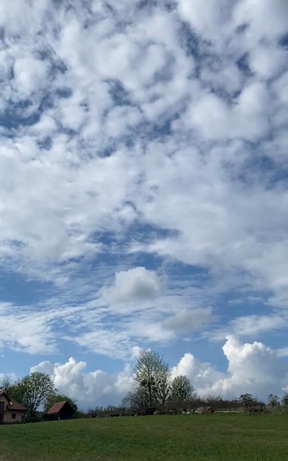 Agroturystyka Nad Jeziorem Silickim Ilinscy Silice Esterno foto
