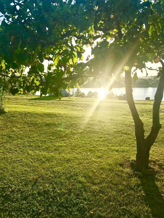 Agroturystyka Nad Jeziorem Silickim Ilinscy Silice Esterno foto