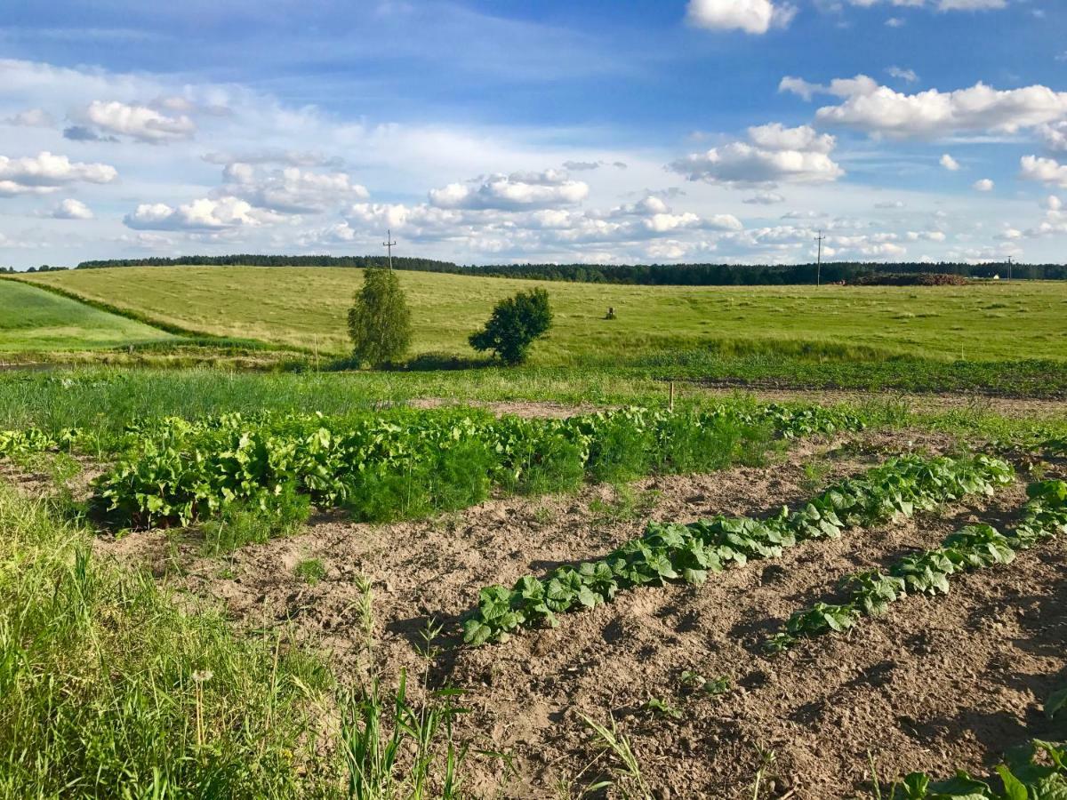 Agroturystyka Nad Jeziorem Silickim Ilinscy Silice Esterno foto
